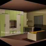 Proiect e-Mobila-online.ro